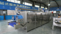 Ligne de lavage, décorticage et séchage de fraises séchées en acier inoxydable 304 de petite capacité pour atelier de transformation de snacks de baies séchées