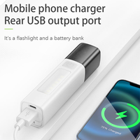 Senter Darurat Portabel Jarak Jauh 1000+ Lumen 5000K Cahaya Siang Hari IP65 Tahan Air Dapat Diisi Ulang USB Sinar Dapat Disesuaikan