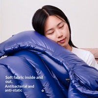 Sac de couchage extérieur pour adultes, type momie, en duvet d'oie, chaleur zéro degré, léger, antibactérien, antistatique, pour la randonnée et le camping