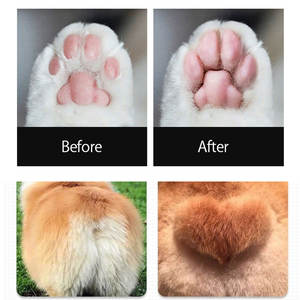 कारखाने की पूरी बिक्री usb रिचार्जेबल पेशेवर 1500 मा लंबे जीवन पालतू पाव ग्रूमिंग उपकरण कुत्ते बिल्ली के बाल त्रिमर क्लिपर - Product Image 5