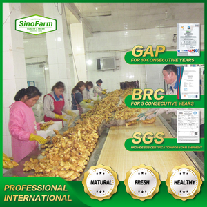 Chất Lượng Tốt Khô Số Lượng Lớn Gừng Tươi Giá Thị Trường Mỗi Tấn Bán Buôn Gingerbread Người Mua Để Mua Gừng Khô Xuất Khẩu Từ Trung Quốc - Product Image 4