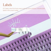 Song Lashes Logo personnalisé ventilateurs PBT coréens super doux faits à la main russie synthétique Pro Made Fans cils