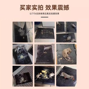 Colle à souris importée ultra-puissante, un piège à souris puissant capable de capturer les gros rats, un outil domestique super-efficace pour éliminer les nuisibles. - Product Image 3