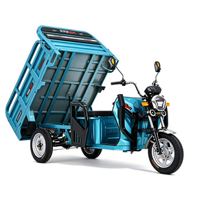 Tricycle à poussoir parental, tricycle électrique cargo 1500W, tricycle à moteur à moyeu 5 roues, tricycle à moteur thermique - Product Image 1