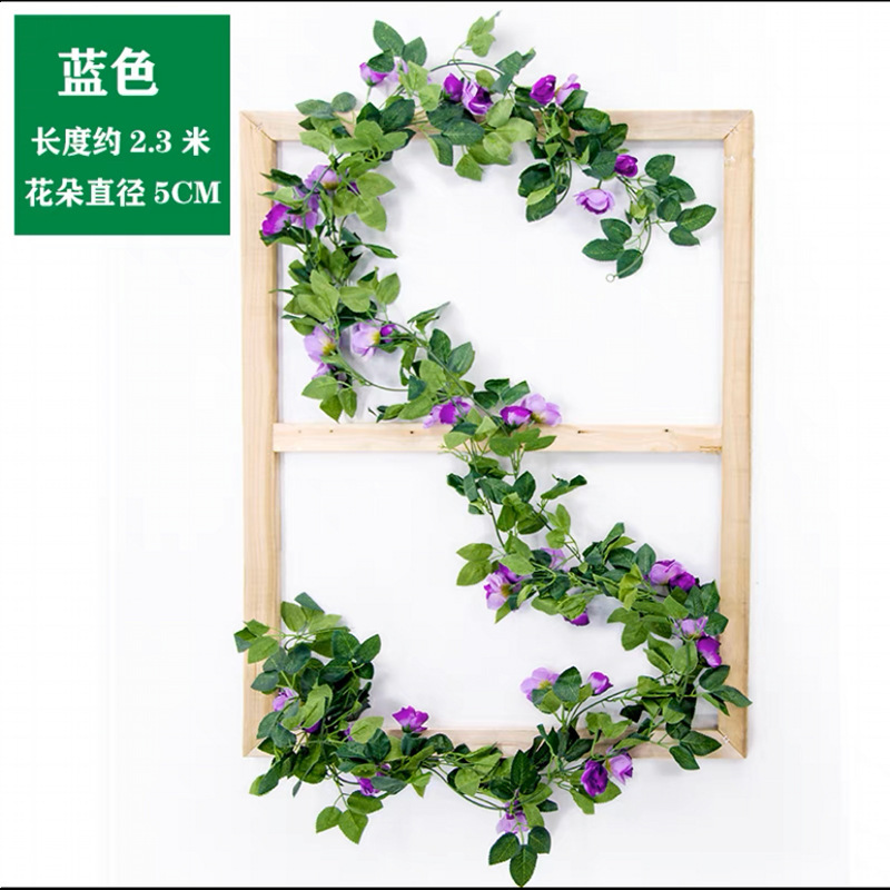 1 barre de 20 roses françaises (violettes)
