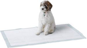 Colliers d'entraînement absorbants en coton écologique à prix compétitif pour chiens et chiots 60x45cm - Product Image 3