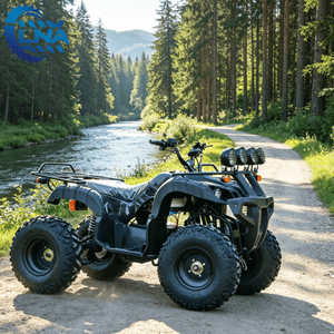 <span class=keywords><strong>Quad</strong></span> électrique LNA avec marche arrière 2000W certifié CE pour les excursions dans le désert - Product Image 2