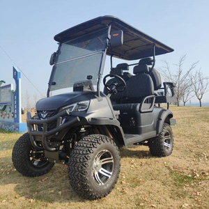 Carrito de Golf Premium 2025 de 6 Plazas con Autonomía de 50-70 km para Familiares y Amigos, Carrito de Golf Familiar - Product Image 4
