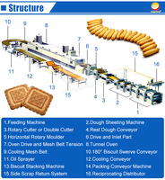 Ligne de production automatique de biscuits, machine à fabriquer des biscuits durs et mous, équipement de transformation pour boulangerie