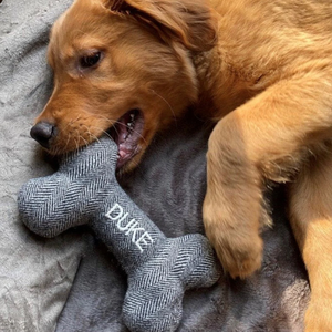 Juguete de hueso de perro duradero personalizado, nuevo regalo para cachorros, juguetes para mascotas con nombre bordado - Product Image 2