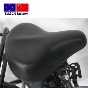 Vélo cargo électrique de 24 pouces, usine européenne, pas de droits de douane, ebike 36V/48V, moteur arrière G2008AS, nouveau modèle de vélo pedelec e - Product Image 6