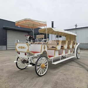 Charrette Électrique de Tourisme à 4 Roues, Buggy de Luxe pour Sites Panoramiques et Événements de Mariage, Alimentation Durable sur Batterie - Product Image 1