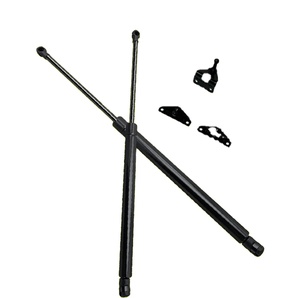Vérins à gaz cylindriques en acier sur mesure à prix avantageux pour hayon arrière/supports de coffre/espace de chargement pour BMW, usage mobilier - Product Image 2