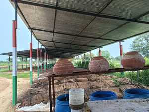 Fertilizante Orgánico de Compost de Vermicompost de Proveedores Indios de Agricultura Orgánica 2025 - Alta Calidad, Calidad de Exportación, Excelente Precio - Product Image 6