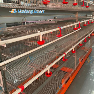 Gabbia di <span class=keywords><strong>quaglia</strong></span> a 6 livelli per allevamento di pollame con capacità di bevitore 800 le quaglie - Product Image 5