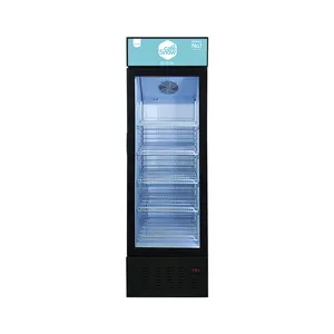 MEISDA SD235B 235L tek sıcaklık dondurucu satılık cam kapi dondurma camekanlı dolap dondurucu