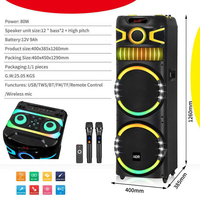 Altavoz de Karaoke Bluetooth con Micrófono, Altavoz para Fiestas al Aire Libre, Altavoz de Karaoke Dual de 12 Pulgadas con Micrófono y Bluetooth