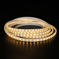 Kit de Bande Lumineuse LED Solaire Sans Fil pour Extérieur DC12V 2835 600 LED 5W 450lm IP65 4100K Dimmable pour Décoration de Jardin