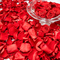 1000 pétales de rose pour la fabrication de sachets, le remplissage, la décoration de baignoires et de bains de pieds, la décoration pour la fête des mères et la Saint-Valentin