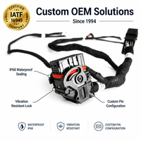 تجميعة كابلات مخصصة مباشرة من المصنع للسيارات الإلكترونية، حزمة أسلاك كاملة لـ RV LS Swap Excavator