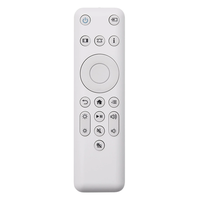 Télécommande de projecteur Hostrong Factory OEM ODM RCU CO-FH01 W01 CH-TZ2800 à code d'apprentissage personnalisé, vente en gros
