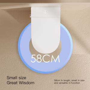 Toilettes automatiques modernes intelligentes monobloc à montage mural avec fonction de lecture de musique télécommandée - Product Image 3