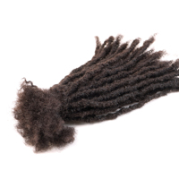 Cheveux Naturels Coily Locks Crépus Grossier Dreadlocks Extensions de Cheveux Humains