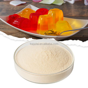 إضافات غذائية من الدرجة الغذائية جيلاتين البكتين أجار-أجار كونجاك صمغ عربي كاراجينان سيسبانيا/غار/صمغ الجراد وحبوب الجراد صمغ جيلان - Product Image 3