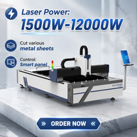 Machine de découpe laser à fibre pour tôle d'acier inoxydable de 10 mm, machine de découpe laser à fibre CNC 3000W pour acier galvanisé