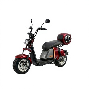 Scooter Électrique Puissant 2 Roues Adulte 1000W Batterie Lithium 20Ah Pneus Larges à Disque pour Trajets Quotidien SS701 Moteur Puissant 1000W - Product Image 3