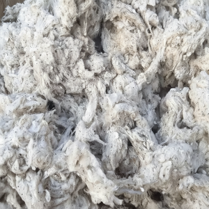 TARJETA DE ALGODÓN MOSCA, RESIDUOS DE HILADORAS, LICKERIN DE ALGODÓN-Sra. Claire - Product Image 1