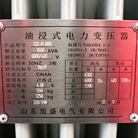 Transformateur immergé dans l'huile 1600 kVA 10 kV S22 triphasé abaisseur de tension 10000 V à 400 V pour distribution extérieure