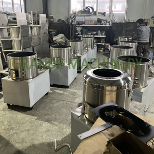 Machine à laver et à éplucher les pommes 500 KG/H Machine à laver et à éplucher les carottes Machine à éplucher et à laver Niblet - Product Image 5