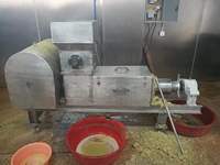 Extracteur de jus de gingembre en acier inoxydable 304, presse à vis, machine à jus de mangue, de raisin et de fruits pour la transformation alimentaire