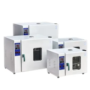Professional Manufacturer High Temp Drying Oven Laboratory Electric Heating Blast Drying Oven