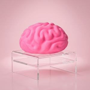 Novedoso Juguete Antiestrés con Forma de Cerebro, Bola Blanda de TPR Rellena de Harina de Ascenso Lento, Juguete Sensorial para Aliviar el Estrés y la Ansiedad, Venta al por Mayor - Product Image 6