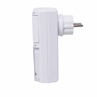 Kontaktor Listrik Bertenaga Baterai Time Switch IP44 Tembaga 10Amp 250V untuk Peralatan Rumah Tangga