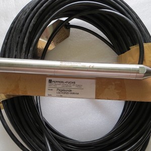 เกจวัดระดับ Pepperl Fuchs รุ่น LGC-KSR2D-1XMN-NA 0-4 บาร์  พร้อมปลอกหุ้ม PVC ระดับ IP65 สำหรับพื้นที่ปลอดภัยแบบไม่มีการระเบิด - Product Image 2