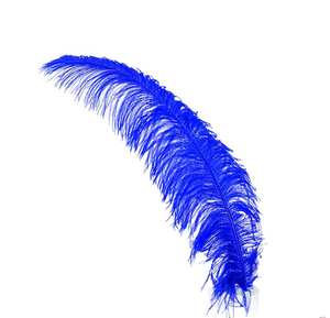 Plumas DIY <span class=keywords><strong>นก</strong></span>ประดับตกแต่งชิ้นกลาง<span class=keywords><strong>ขน</strong></span>าดใหญ่<span class=keywords><strong>สีชมพู</strong></span>สีฟ้าขนาดใหญ่ขนนกกระจอกเทศสีดำสีขาวสำหรับงานเทศกาล - Product Image 2