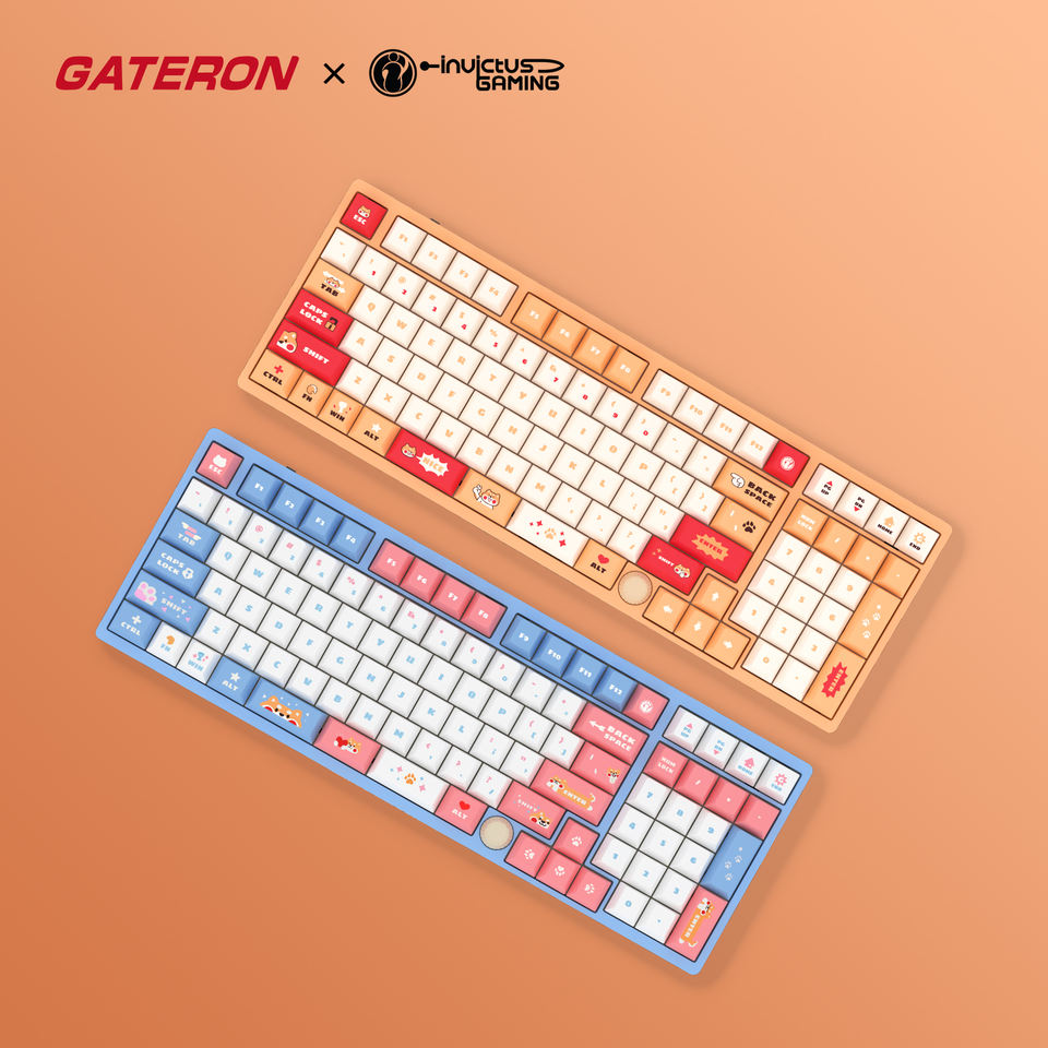 Invictus & GATERON iG 98 - Thumbnail 5