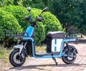 Cina consegna fabbrica bici <span class=keywords><strong>elettrica</strong></span> 800W 60V batteria al piombo Scooter elettrico consegna bicicletta <span class=keywords><strong>elettrica</strong></span> per Fast Food - Product Image 5