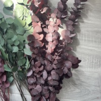 Fleurs et plantes stabilisées, tiges d'eucalyptus, feuilles d'eucalyptus naturelles, branche d'eucalyptus séchée, fleur d'eucalyptus pour la décoration de la Saint-Valentin