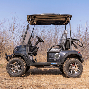 Customizable 2 Seat Golf Cart Lithium Battery Utility Vehicle for Resort and Farm High Capacity Design Accommodates up to 4 Pass - Product Image 5
