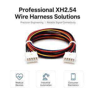 Kits d'adaptateurs industriels personnalisés JST SH 1.0mm/1.25mm avec cordon de cuivre PBT/PVC/Nylon pour câblage PLC/IP66 MX 1.2mm XH PH SM ZH - Product Image 2