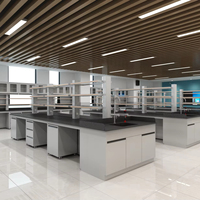Ensemble de mobilier de laboratoire universitaire : bancs de laboratoire, armoires et hotte à fumée tout en acier pour les projets d'infrastructure scientifique des universités