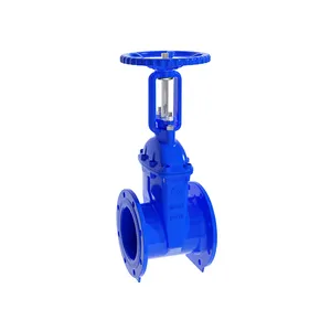 BIAOYI Customizable price Nodular cast iron cast steel stainless steel Rising Stem resilient metal seat gate valve dn600