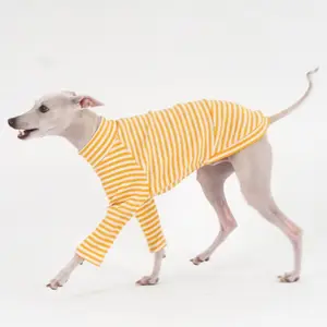 क्यूईंग पालतू जानवर इतालवी ग्रेहाउंड कुत्ते के कपड़े 100% कपास के कपड़े के लिए कस्टम नए डिजाइनर स्ट्रिप्ड टी-शर्ट रिप्ड कपड़े के लिए आपूर्ति करता है।