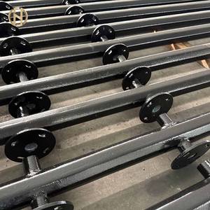 Su misura all'aperto 4m 5m 6m 7m 8m 9m 10m 12m doppio braccio singolo prezzo in acciaio zincato solare lampione palo - Product Image 2