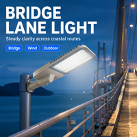 Lampadaire LED en aluminium IP65 étanche pour extérieur, éclairage routier haute luminosité pour parking et allée, éclairage nocturne, garantie 5 ans