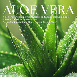 <span class=keywords><strong>Gel</strong></span> lavant pour l'hygiène intime à l'aloe vera 100% biologique pour tous les types de peau, <span class=keywords><strong>pH</strong></span> équilibré, nettoyant, apaisant, soulageant les irritations, neutralisant les odeurs - Product Image 3